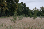 Schrack Technik België | Schrack Bos 092025