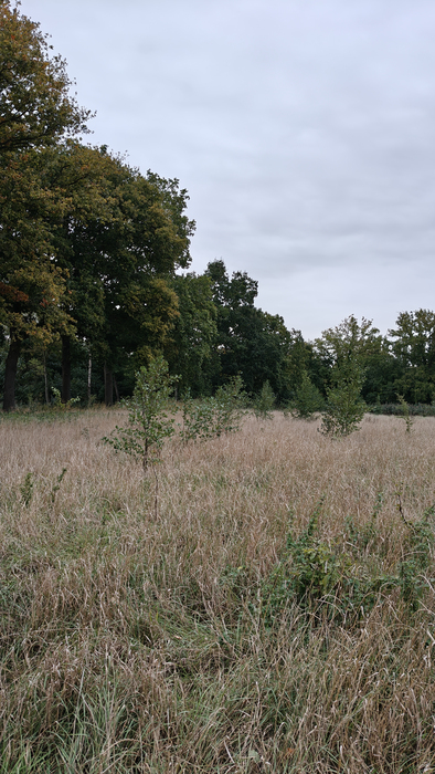 Schrack Technik België | Schrack Bos 092025