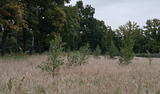 Schrack Technik België | Schrack Bos 092025