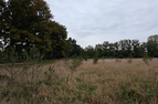 Schrack Technik België | Schrack Bos 092025