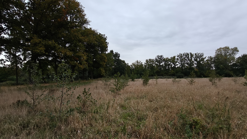 Schrack Technik België | Schrack Bos 092025