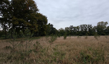 Schrack Technik België | Schrack Bos 092025